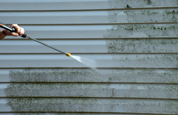 Best Sidewalk Pressure Washing  in Polo, IL